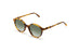 Ross And Brown Capri Sunglasses