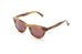 Ross and Brown Casablanca Sunglasses