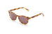 Ross And Brown Harvard Sunglasses
