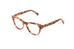 Ross And Brown Casablanca Optical