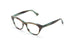 Ross And Brown Casablanca Optical